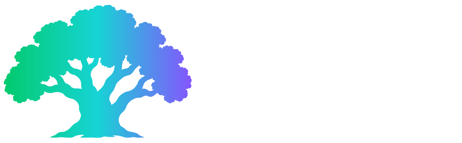 Zahara Studio
